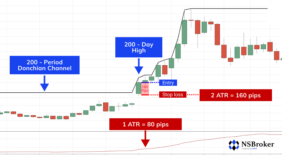Using Turtle Strategy For Trading What is the Turtle Strategy